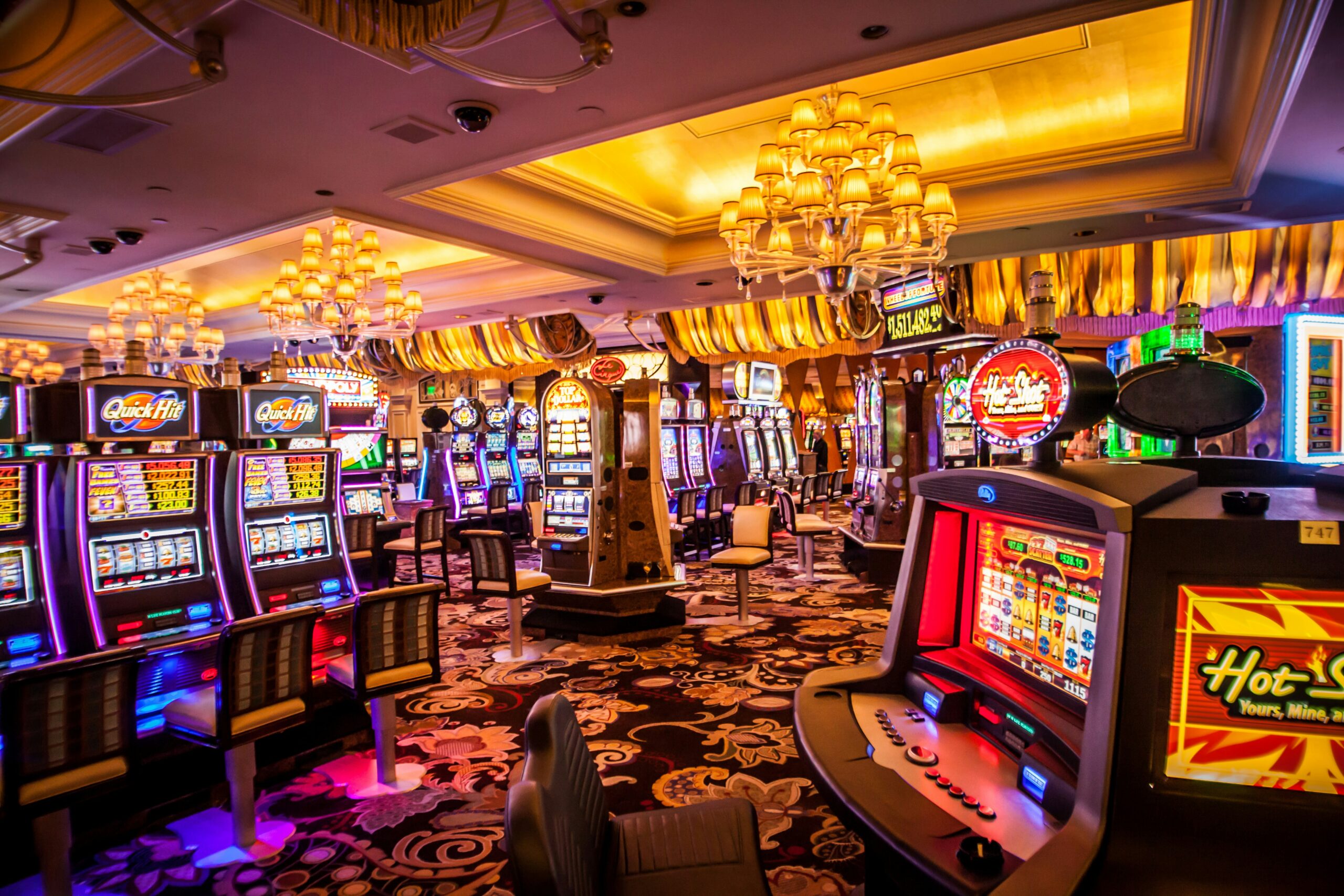 Cricket & Betting ID