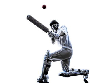 Best Cricket ID Online
